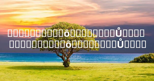 ����������ô���ϲ��ϲ�Ů���� ����������ô���ϲ��ϲ�Ů����